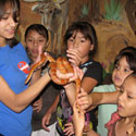 Critter Corner Snake